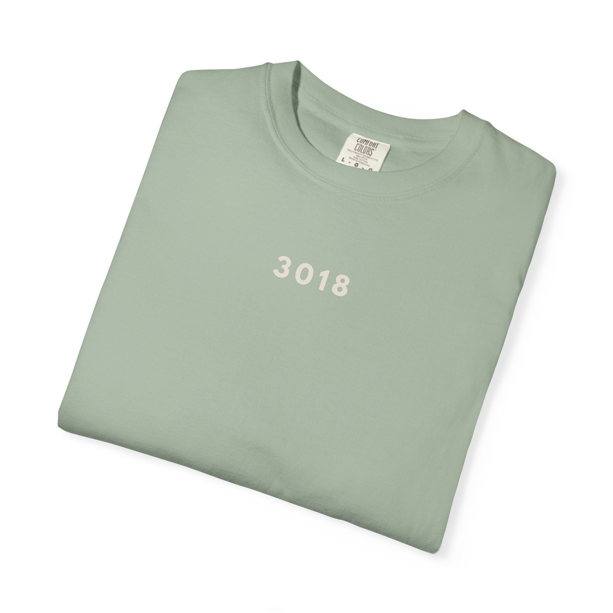 3018